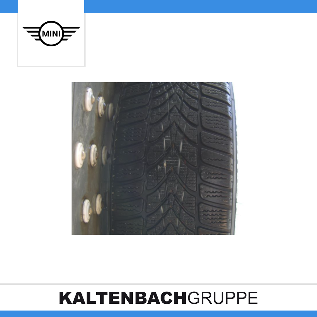 Vorlage MINI (5).png